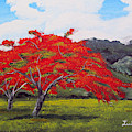 Adorning Nature